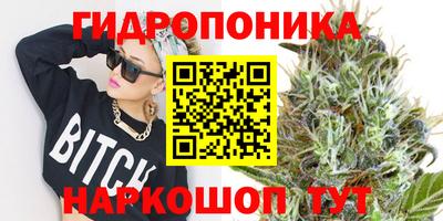 дурь Славгород