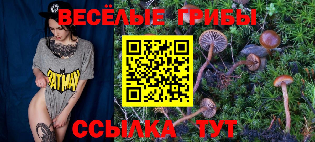 Темрюк  Галлюциногенные грибы Magic Shrooms  Вход с VPN 